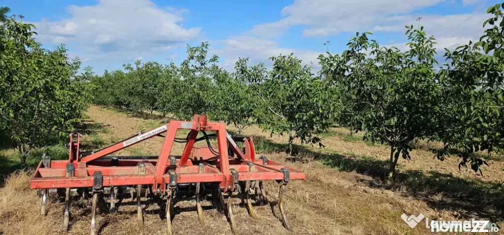 Plantatie de nuci pe rod, 14 ha, 2.000 pomi