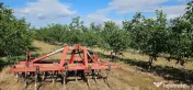 Plantatie de nuci pe rod, 14 ha, 2.000 pomi 