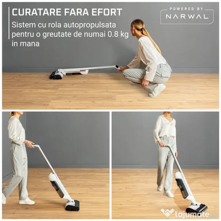 Aspirator cu spalare Rowenta X-Clean 10