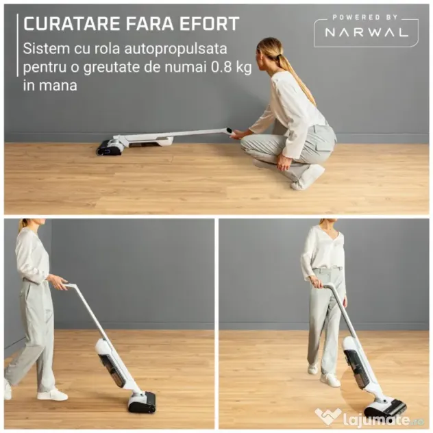 Aspirator cu spalare Rowenta X-Clean 10