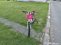 Bicicleta  fete 6-11 ani 20 inch X Fact Princess cu cos frontal 