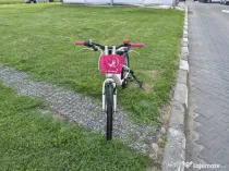 Bicicleta  fete 6-11 ani 20 inch X Fact Princess cu cos frontal