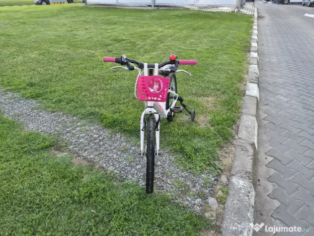 Bicicleta fete 6-11 ani 20 inch X Fact Princess cu cos frontal