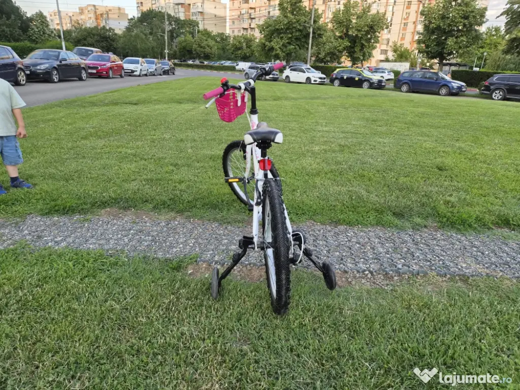Bicicleta fete 6-11 ani 20 inch X Fact Princess cu cos frontal