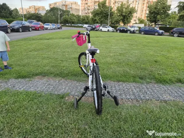 Bicicleta fete 6-11 ani 20 inch X Fact Princess cu cos frontal