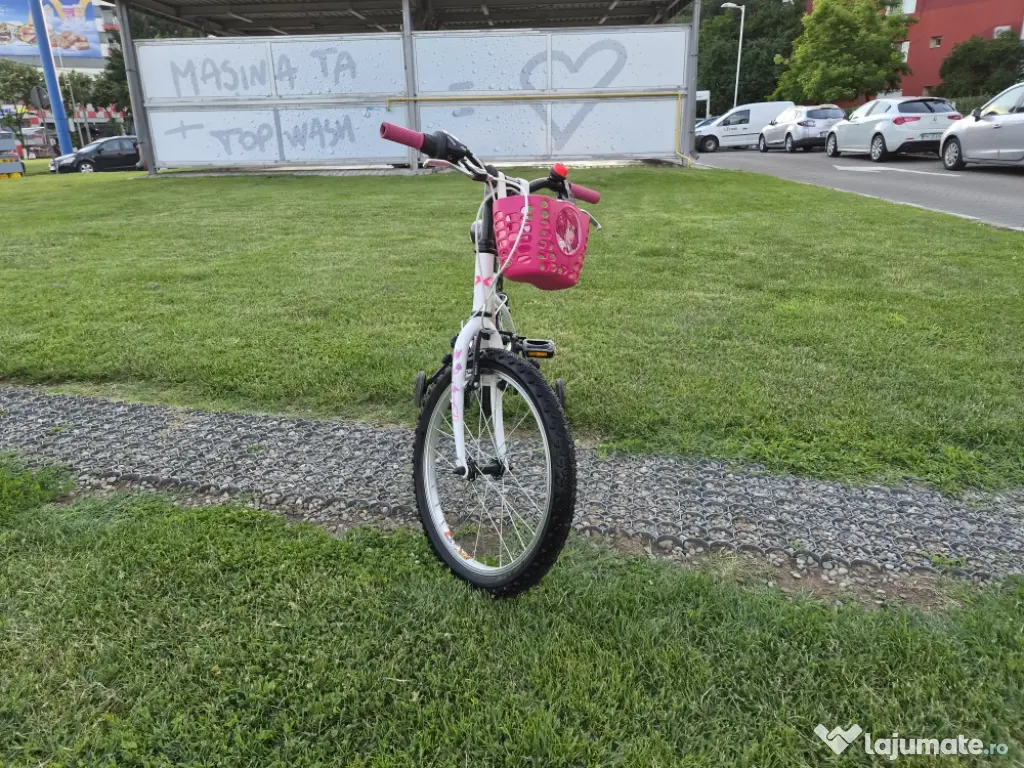 Bicicleta fete 6-11 ani 20 inch X Fact Princess cu cos frontal