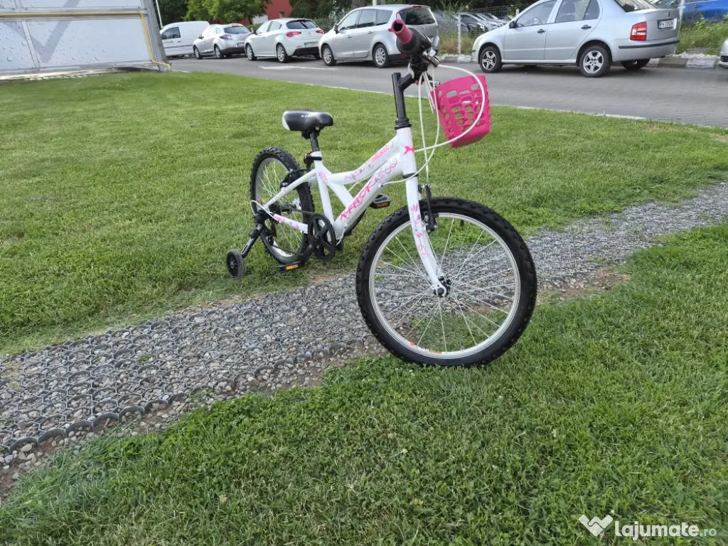 Bicicleta fete 6-11 ani 20 inch X Fact Princess cu cos frontal