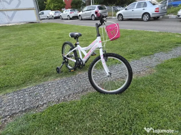 Bicicleta fete 6-11 ani 20 inch X Fact Princess cu cos frontal