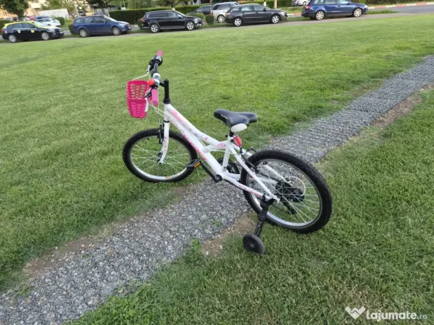 Bicicleta fete 6-11 ani 20 inch X Fact Princess cu cos frontal