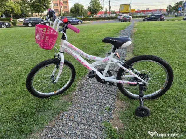 Bicicleta fete 6-11 ani 20 inch X Fact Princess cu cos frontal