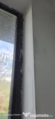 servicii profesionale de curățenie 