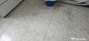 servicii profesionale de curățenie 