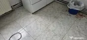 servicii profesionale de curățenie 