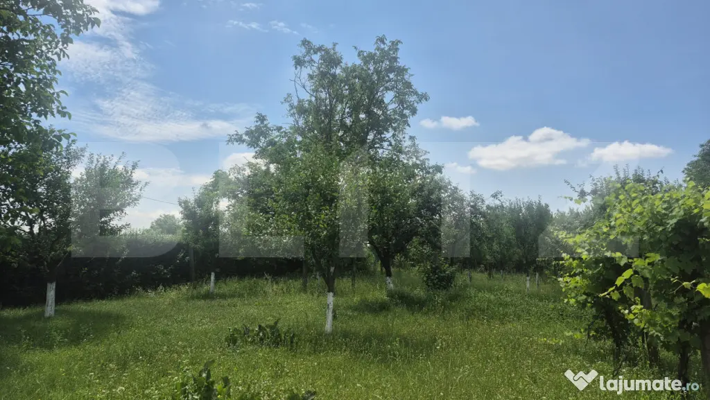 Proprietate de vanzare, teren 5488 mp, in localitatea Ambud,