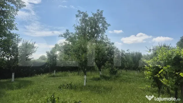 Proprietate de vanzare, teren 5488 mp, in localitatea Ambud,