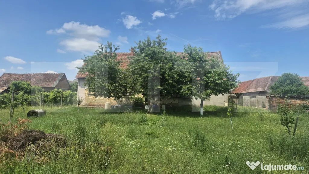 Proprietate de vanzare, teren 5488 mp, in localitatea Ambud,