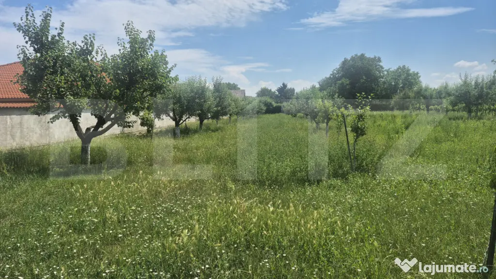 Proprietate de vanzare, teren 5488 mp, in localitatea Ambud,