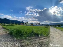 Teren de vanzare Alexandru cel Bun 20.000 Euro 735mp