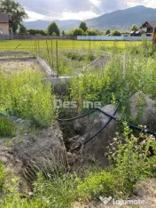 Teren de vanzare Alexandru cel Bun 20.000 Euro 735mp 