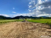 Teren de vanzare Alexandru cel Bun 20.000 Euro 735mp 