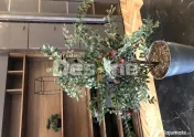 Proprietar, locuinta 2 camere decomandat BV BARNUTIU 