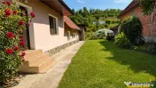 Farmecul unei case sasesti,1.500mp domeniu propriu,fantana,P 