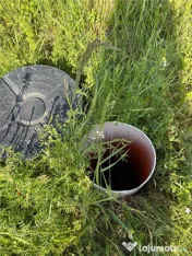 24 Terenuri- Mosnita Noua- TOATE UTILITATILE- zona in plina 