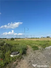 24 Terenuri- Mosnita Noua- TOATE UTILITATILE- zona in plina 