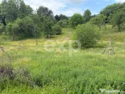 Teren 6348 mp Corbeni/ 1856 mp intravilan/ Utilități/ Apro 