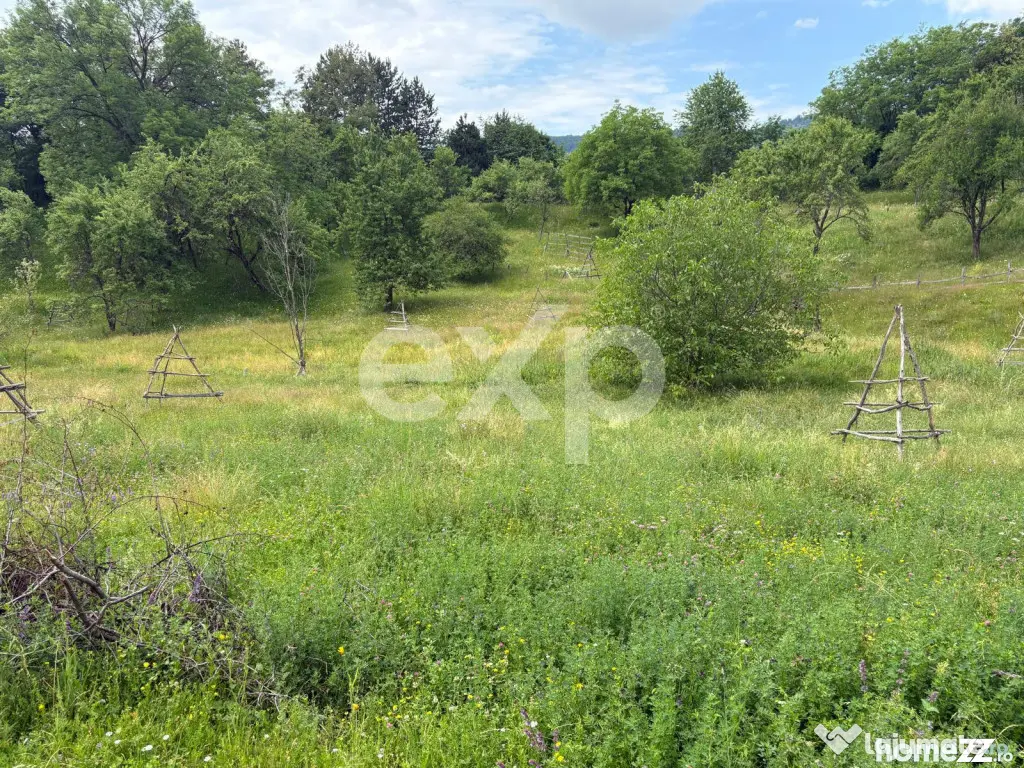 Teren 6348 mp Corbeni/ 1856 mp intravilan/ Utilități/ Apro