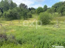 Teren 6348 mp Corbeni/ 1856 mp intravilan/ Utilități/ Apro