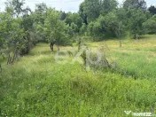 Teren 6348 mp Corbeni/ 1856 mp intravilan/ Utilități/ Apro 