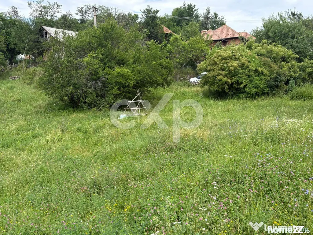 Teren 6348 mp Corbeni/ 1856 mp intravilan/ Utilități/ Apro