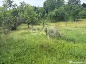 Teren 6348 mp Corbeni/ 1856 mp intravilan/ Utilități/ Apro 
