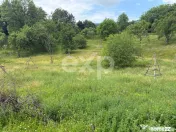 Teren 6348 mp Corbeni/ 1856 mp intravilan/ Utilități/ Apro 