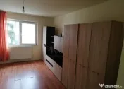 Garsoniera Renovata-Centrala-Aradului 