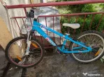 Bicicleta cygnus