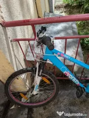 Bicicleta cygnus 