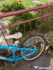Bicicleta cygnus 