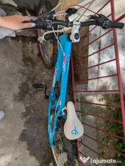 Bicicleta cygnus 