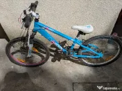 Bicicleta cygnus 