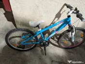 Bicicleta cygnus 