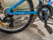Bicicleta cygnus 