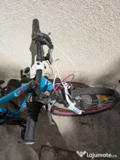 Bicicleta cygnus 