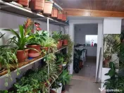 CALEA MARTIRILOR, CASA INDIVIDUALA, 4 CAMERE, 2 BAI, 2 BUCAT 