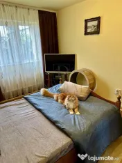 SAGULUI | 3 CAM | ET.3 | LIFT | ANVELOPAT | DECOMANDAT | CEN 