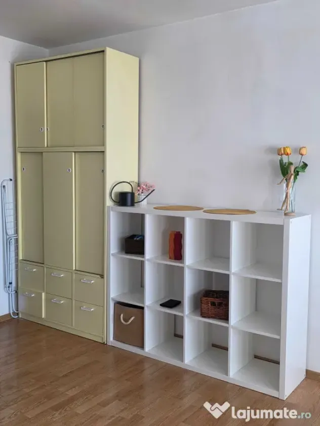 Iancului muncii maior coravu etaj 7