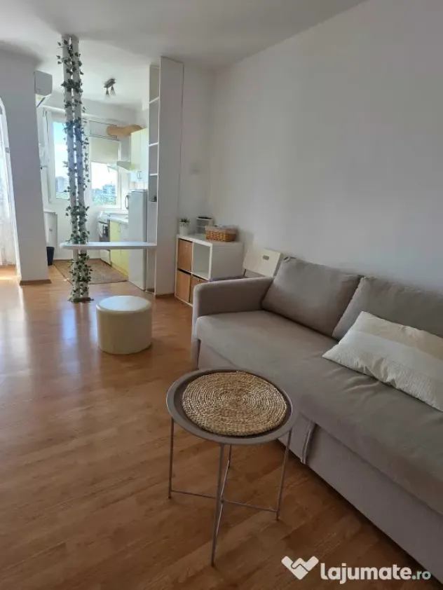 Iancului muncii maior coravu etaj 7