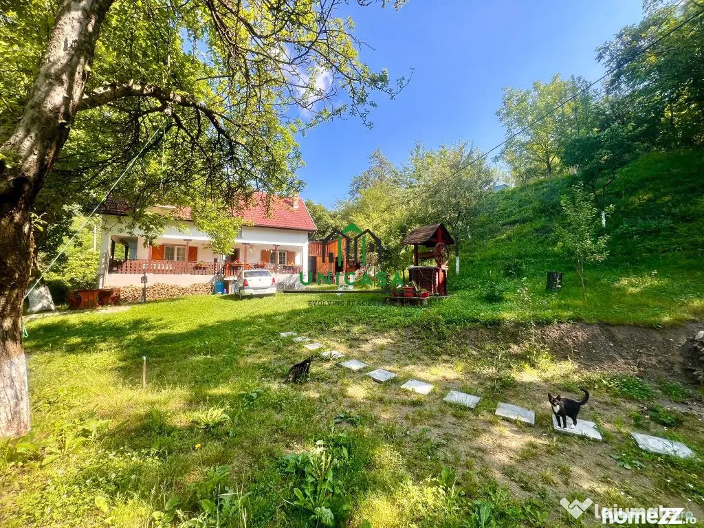 Casa cu teren generos 2919 mp/ Sat Andreesti / Comuna Mue... - Muereasca (Valcea)