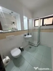 Garsoniera decomandata cu balcon 48 mp, Brestei-Promenada 